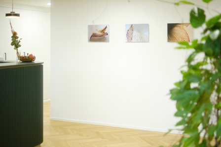 frauenarztpraxis-nietlispach-